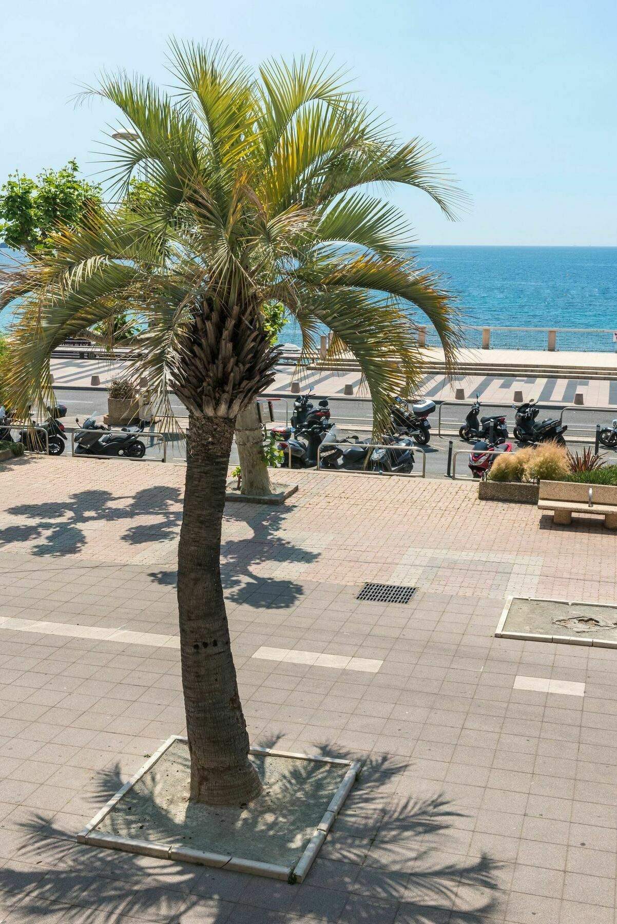 Hotel Mercure Raphael Centre